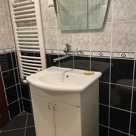 дружба דירה *