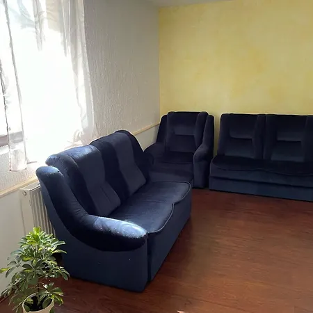 дружба דירה סובוטיקה